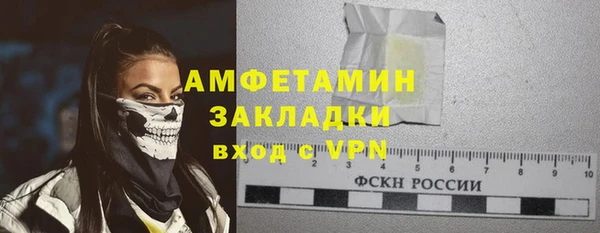 шишки Белокуриха