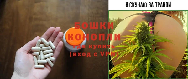 шишки Белокуриха