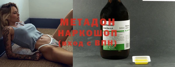шишки Белокуриха