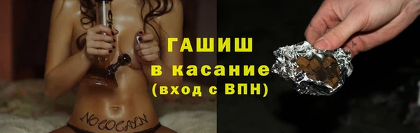 шишки Белокуриха