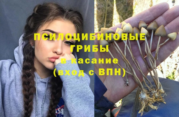 MDMA Беломорск