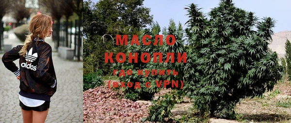 шишки Белокуриха